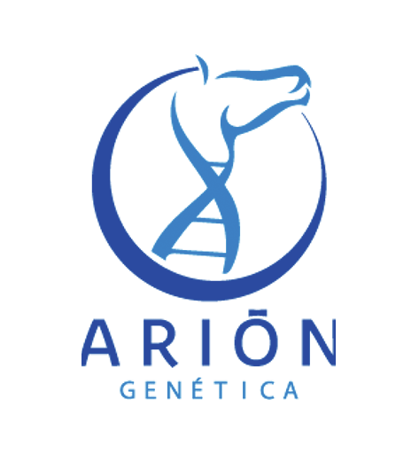 Arion Logo